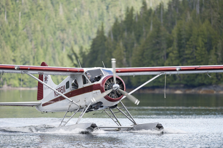 同时在阿拉斯加湖上着陆的水上飞机