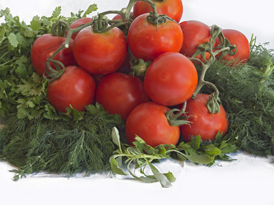西红柿 黄瓜 莳萝的叶子和欧芹在白色背景上