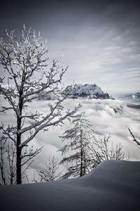 雪山