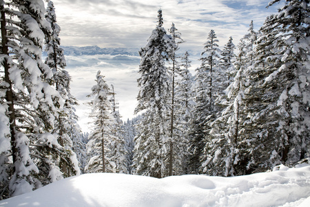 雪山