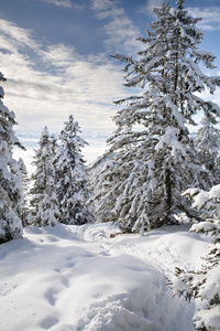 雪山