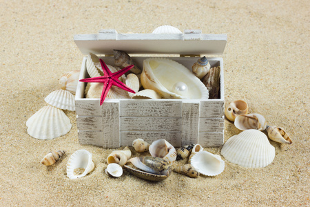 在沙滩上的贝壳。海星。宝藏