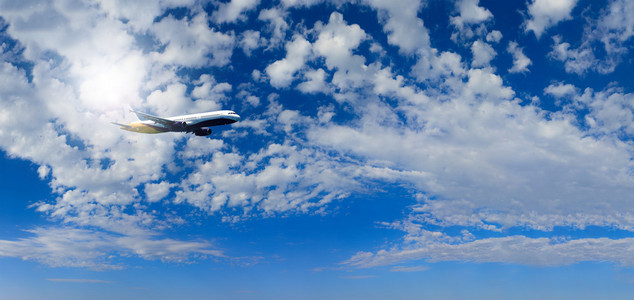 乘客的客机飞行中的航空器