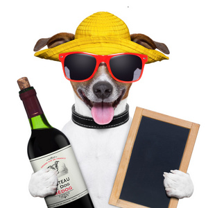 夏天的狗和葡萄酒瓶