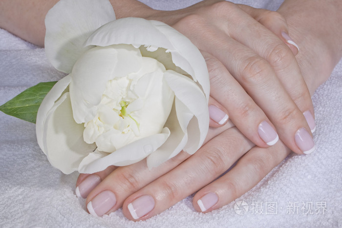 妇女 hands.white 牡丹 flower.manicure