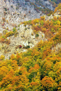 bucegi 山区山秋天风景