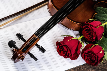 小提琴 玫瑰和音乐书籍