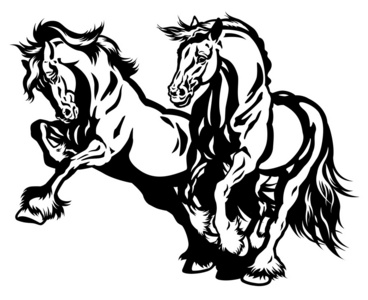 草案的动物图片