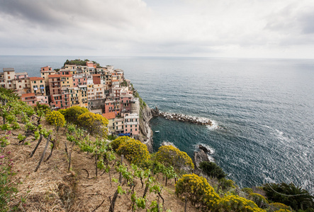 manarola 的村庄