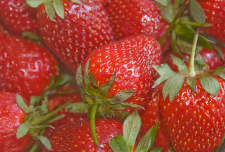草莓在浅色背景特写
