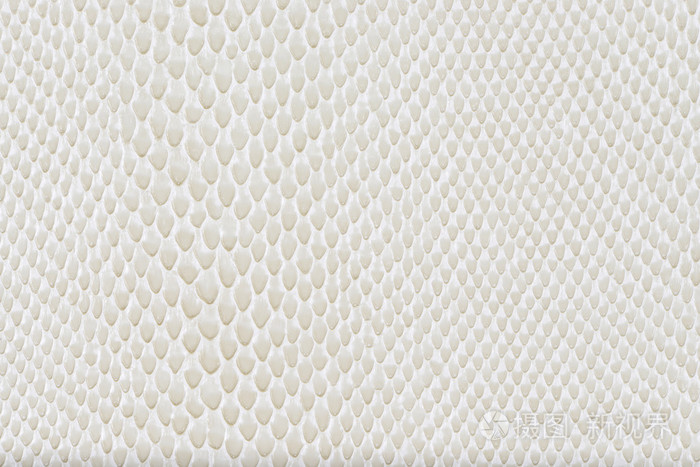 牛奶人造皮革蛇纹理背景