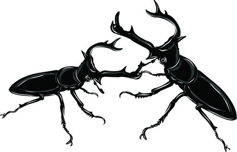 圣甲虫剪影图片