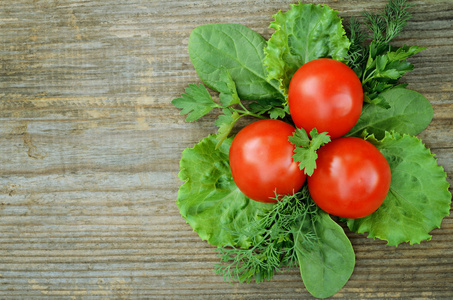 番茄 ltttuce 欧芹 茴香 菠菜与组成