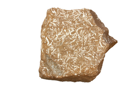 油母页岩摄影图