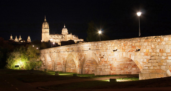 美丽的景色的萨拉曼卡历史城市与新的大教堂和罗马的桥梁，在夜间，卡斯蒂利亚 y leon 区域 西班牙