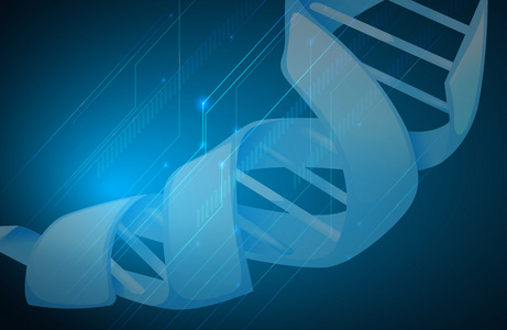 dna 双螺旋结构带有dna血样的医用试管分子的模型关于腺病毒数字发电