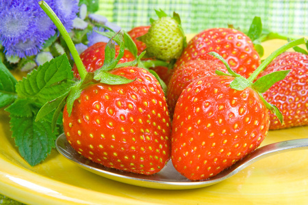 新鲜草莓生产用