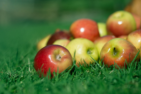 Apples nature wine