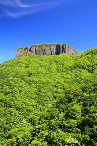 岩山与清新绿意