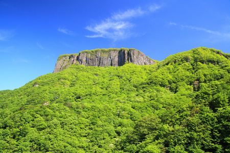 岩山与清新绿意