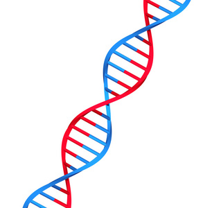 分子 dna 在白色背景上