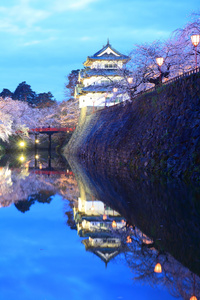 弘前城堡和樱花亮