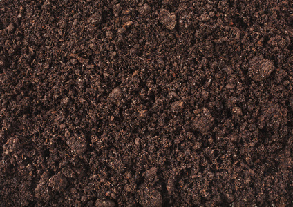 山在距离, 输电线在狂放的山瓜藤芽关闭了土壤泥土表面背景上射击的