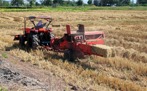 农夫和拖拉机在泰国时，现场包装稻草