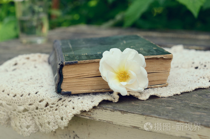 老的书和狗玫瑰花卉