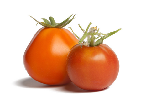 孤立在白色背景上的两个熟的西红柿