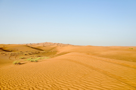 safari 在阿拉伯联合酋长国，迪拜沙漠