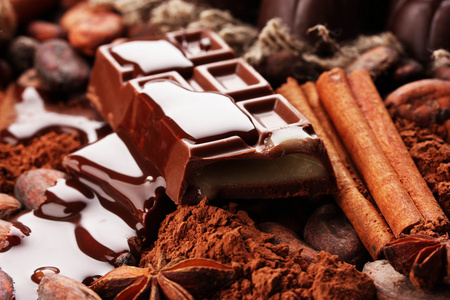巧克力糖 可可和香料的组成