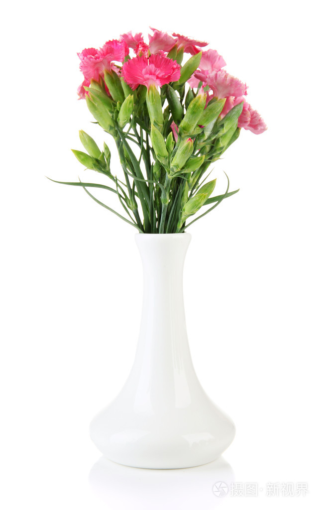 康乃馨的花瓶孤立在白色的花束