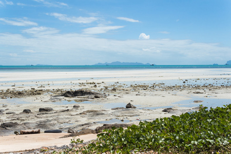 海岸