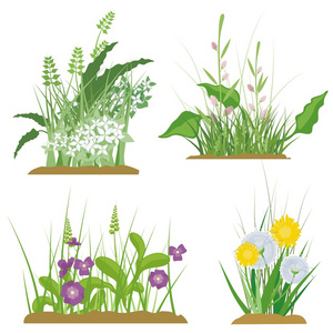 蓬勃发展的杂草图片-蓬勃发展的杂草素材-蓬勃发展的杂草插画-摄图新