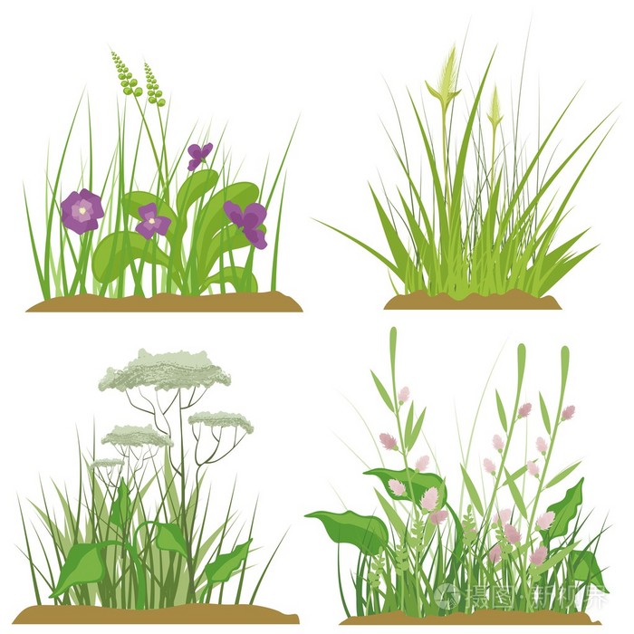 一套的花和草的设计元素, 矢量插图系列