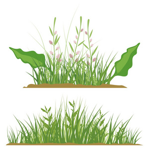 创意绿意图片-创意绿意素材-创意绿意插画-摄图新视界