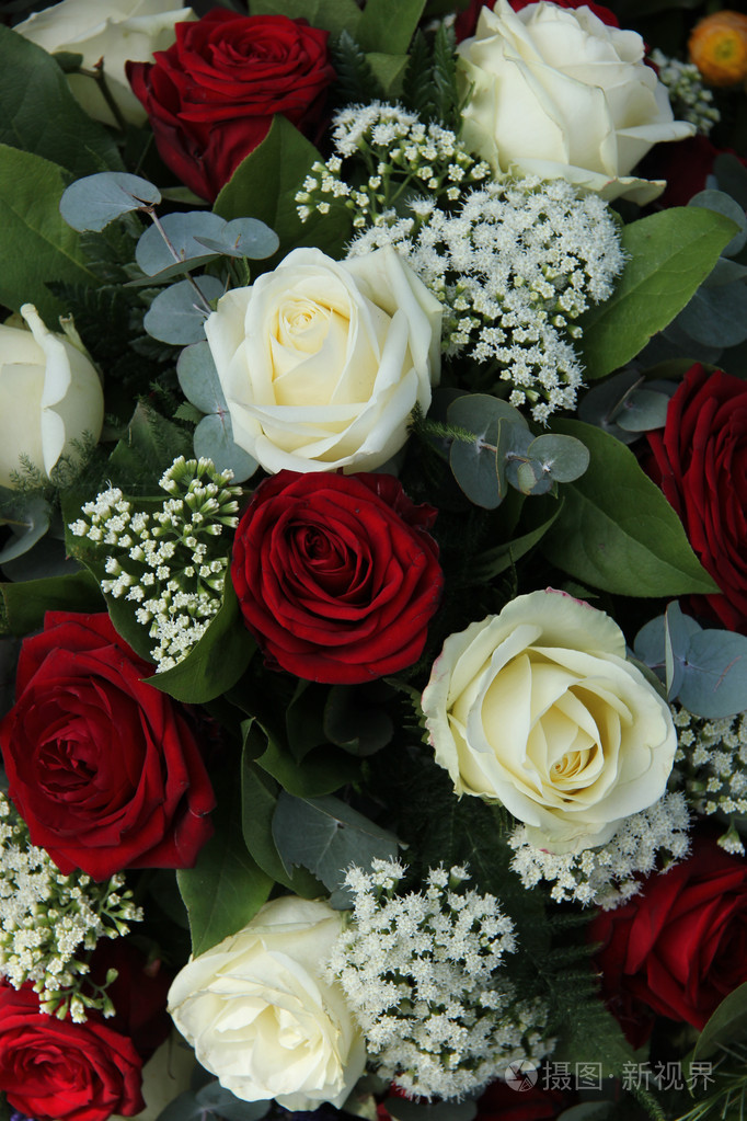 新娘的花束中的红白玫瑰