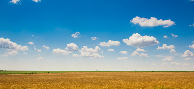 绿色领域下草和完美的蓝色 sky.hilly 字段与中的字段和 sky.wheat 字段在多云的天空蓝 sky.landscap