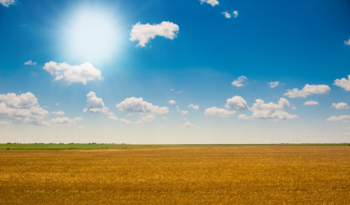 绿色领域下草和完美的蓝色 sky.hilly 字段与中的字段和 sky.wheat 字段在多云的天空蓝 sky.landscap