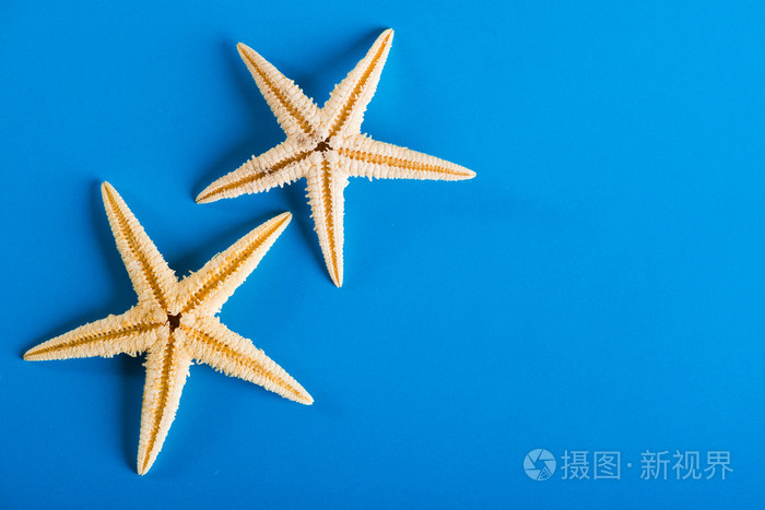 两个 starfishes