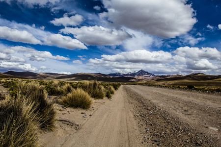 在玻利维亚的安第斯山脉的高原沙漠