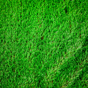 绿草表面