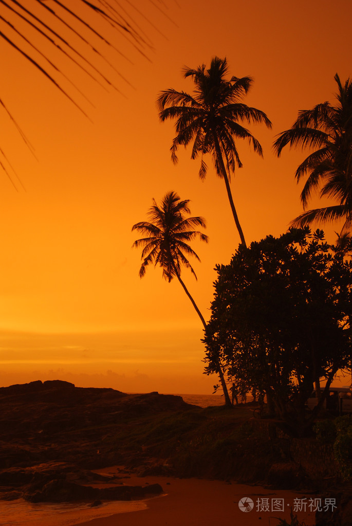 在斯里兰卡海滩日落