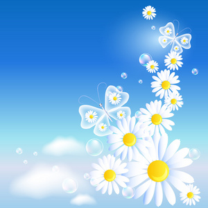 蝴蝶，在天空中的雏菊