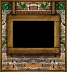 砖墙与植物相框图片