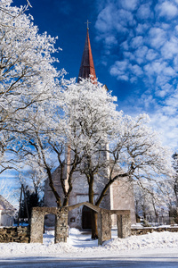 雪树上的风化的天主教教会。
