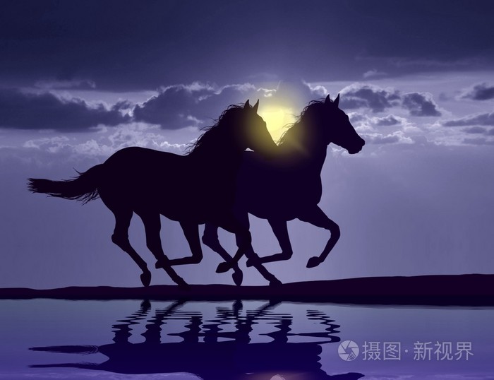 在夕阳与水中倒影的骏马