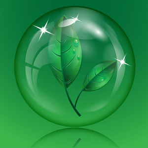绿色的树叶与透明球体中的水滴在绿色背景上