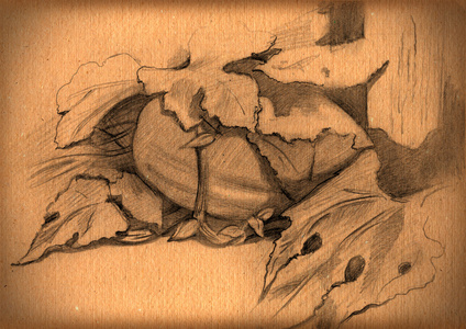 初级素描静物复古的农村静物素描纸照片